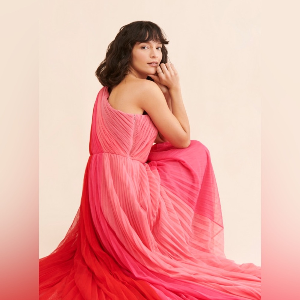 NEW Hutch Anthropologie Tarina Colorblock Gown Dress size 16W womens - Picture 5 of 16
